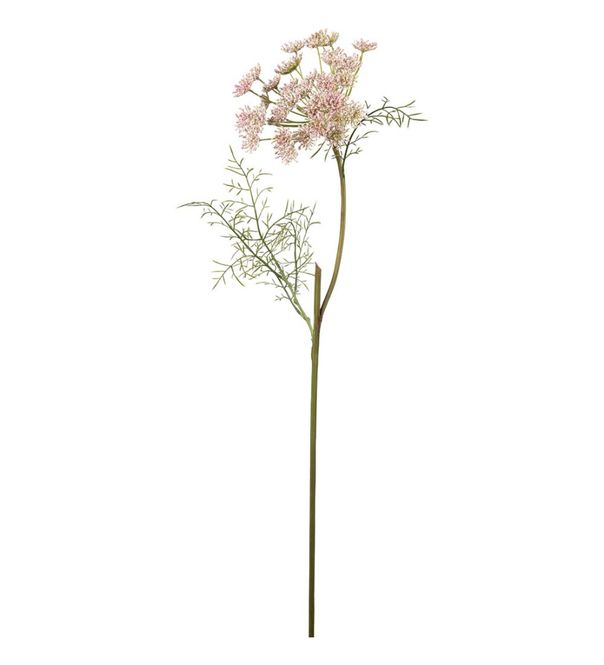 Hovedbilde Mr Plant Villgulrot Rosa