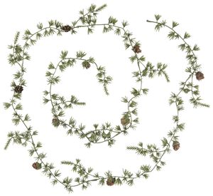 Hovedbilde Ib Laursen Cedertre-ranke med Kongler