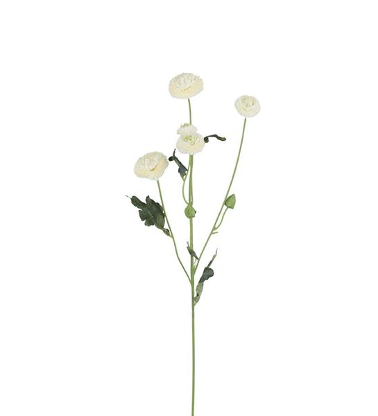 Mr Plant Chrysanthemum Hvit